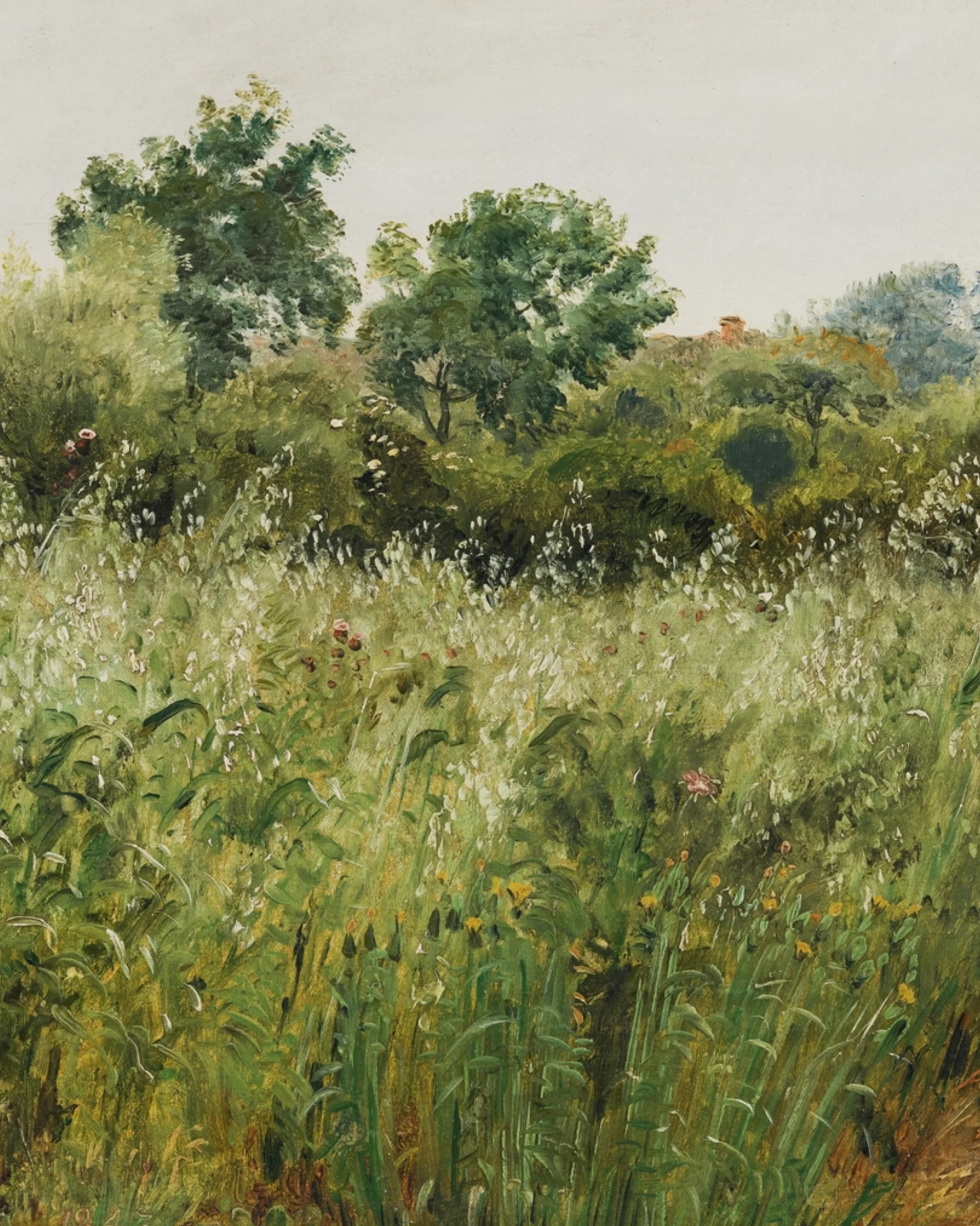 i2y2-product-page-asset-backgrounds-countryside-05-4-5