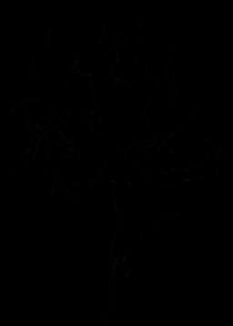 Black ink illustration of a flower