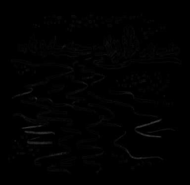 Decorative illustration showing a stream