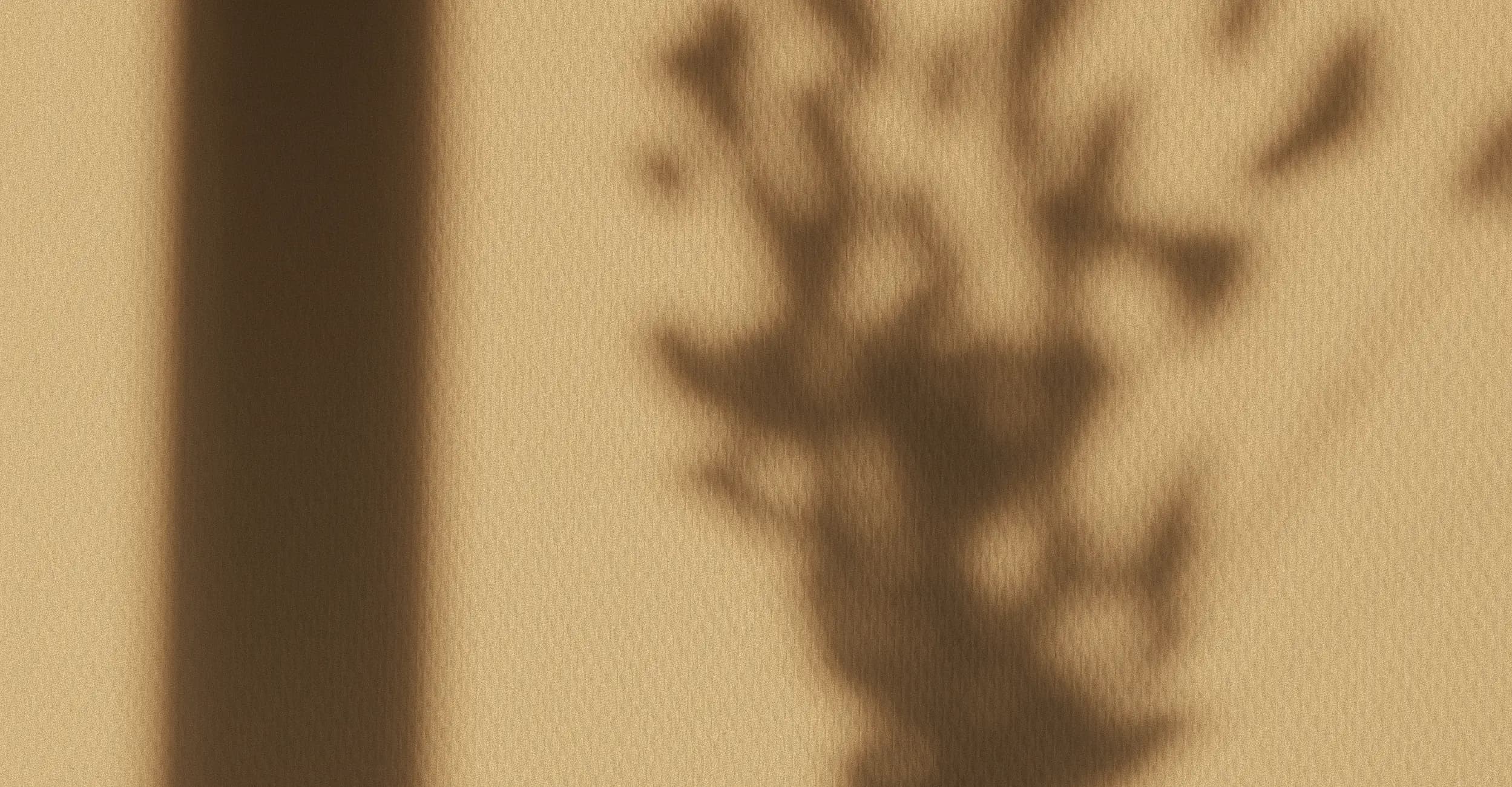 Decorative background image