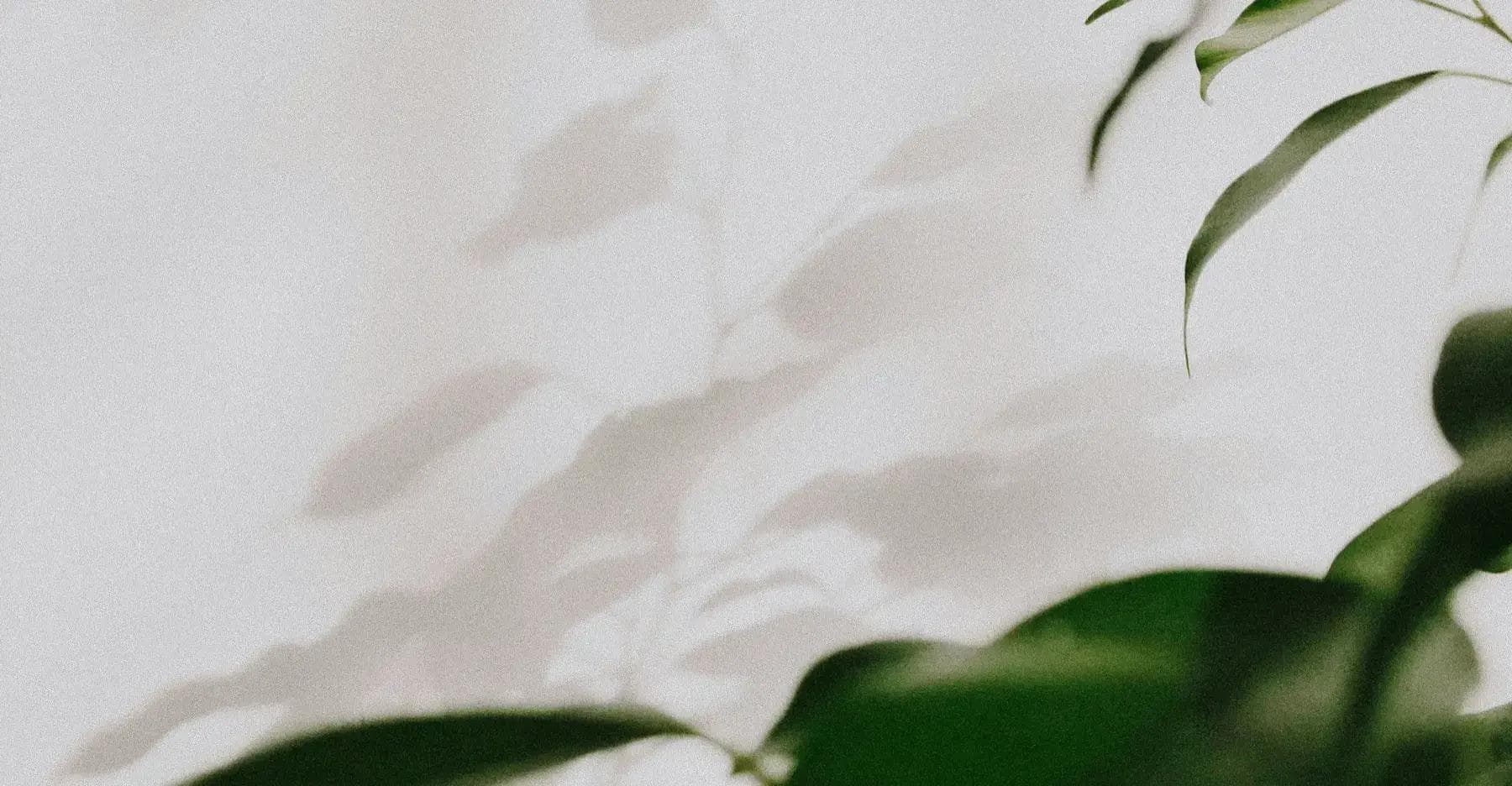 Decorative background image